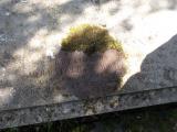 image of grave number 682087